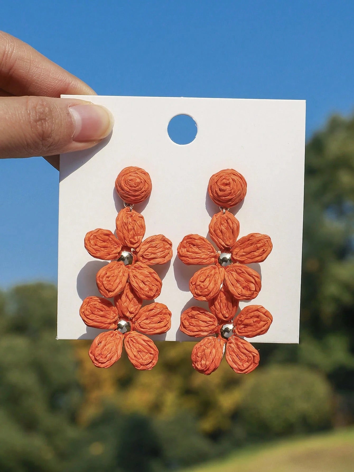 Earrings