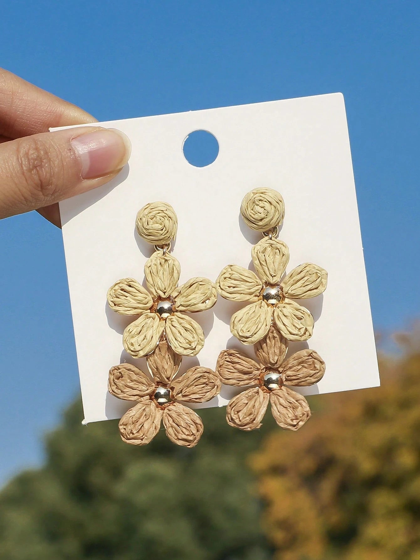 Earrings